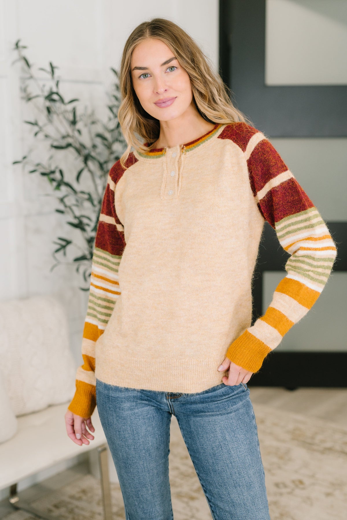 Classically Curious Brushed Henley Top