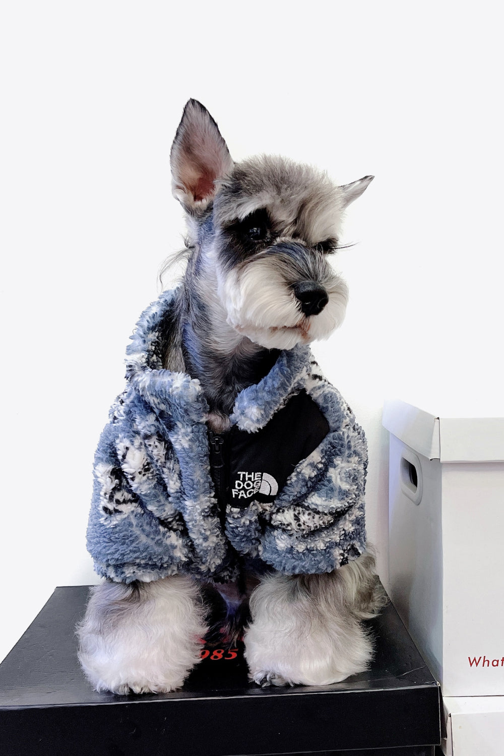 Paisley Zip-Up Teddy Pet Jacket