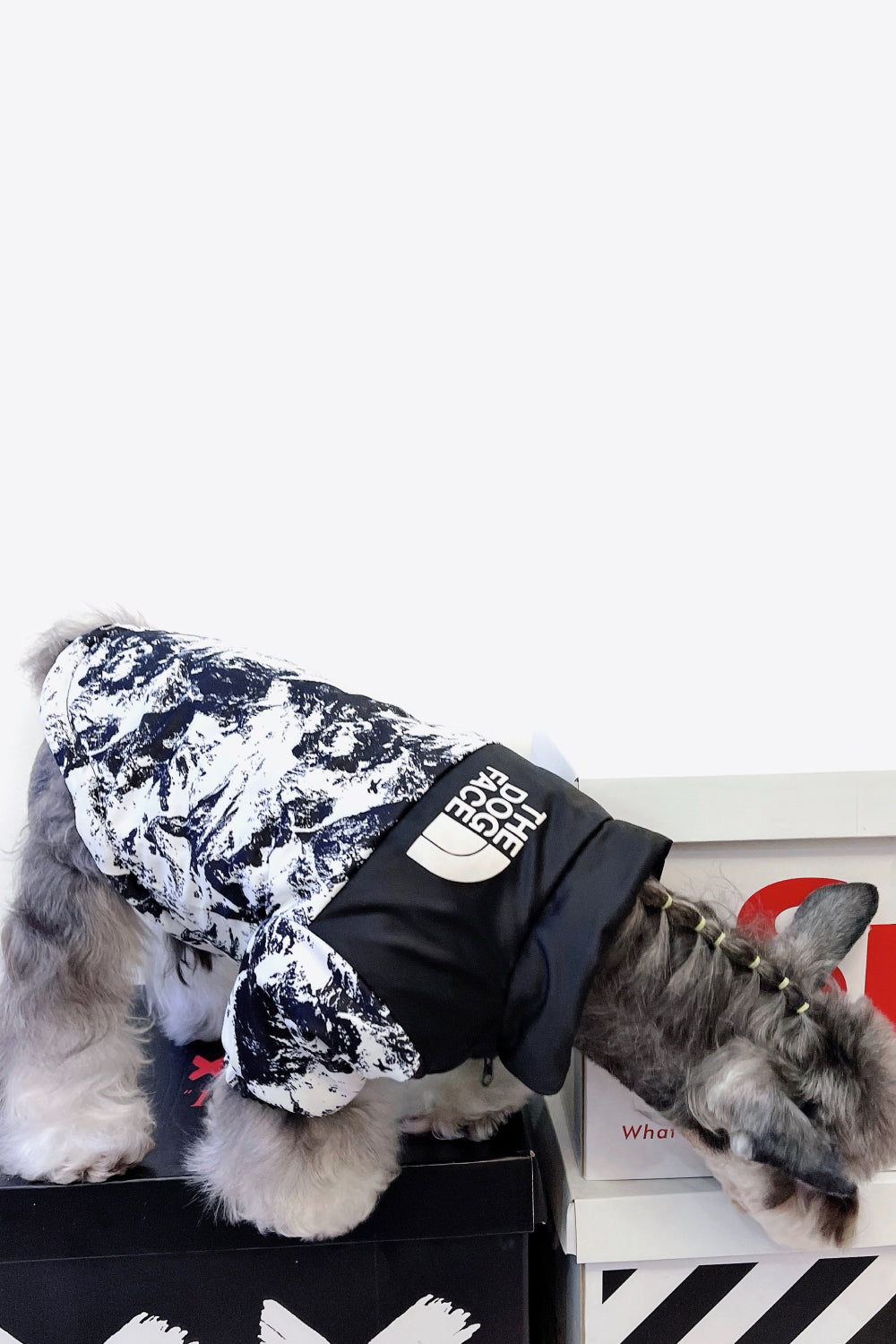 Printed Zip-Up Pet Puffer Jacket