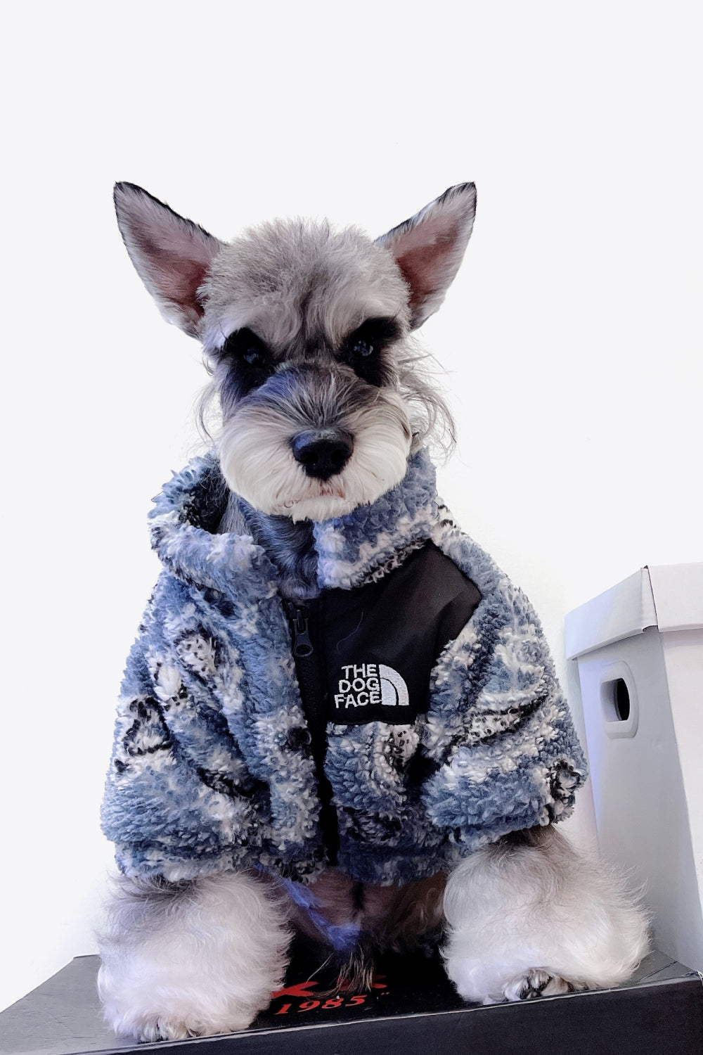 Paisley Zip-Up Teddy Pet Jacket