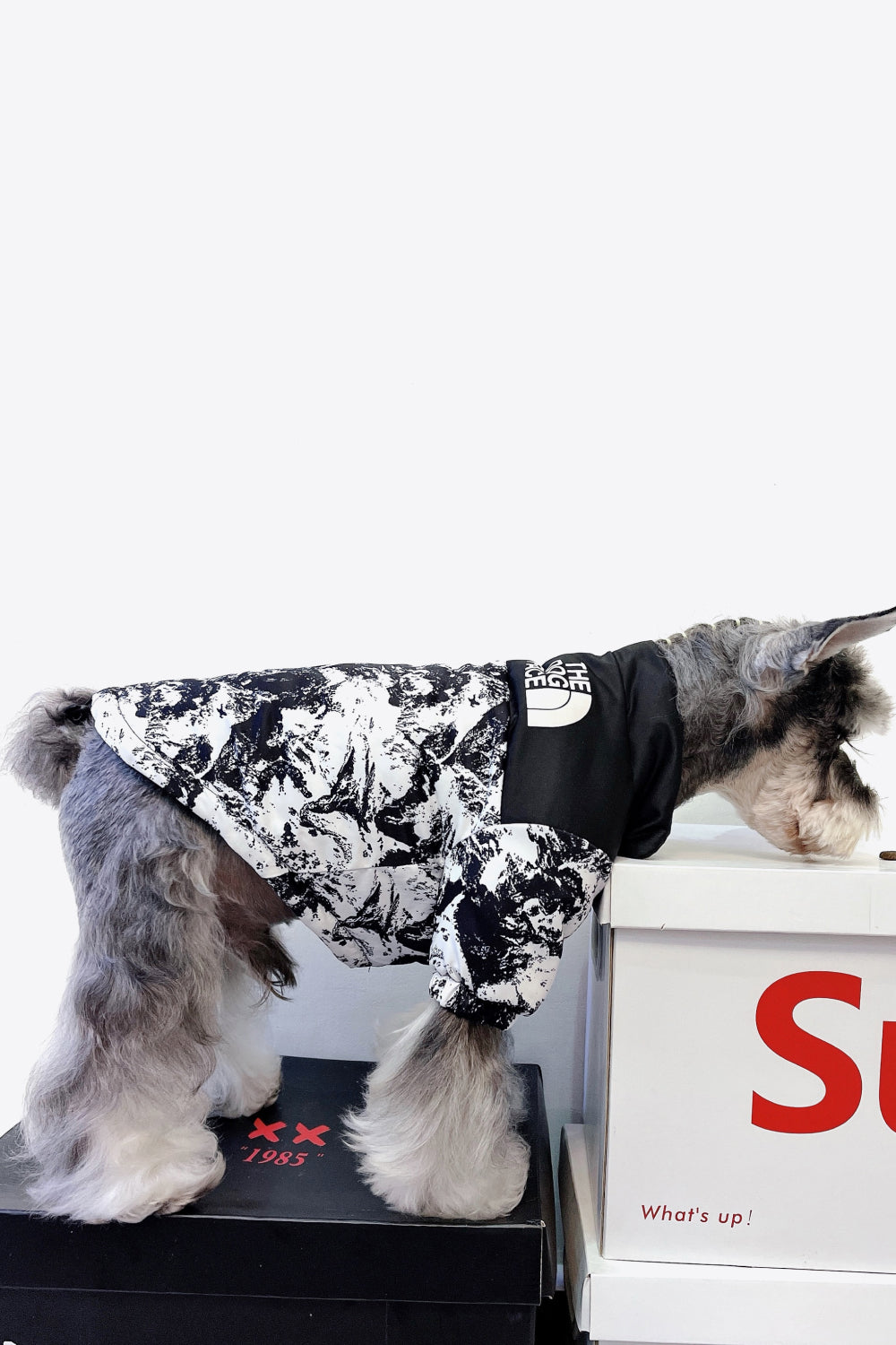 Printed Zip-Up Pet Puffer Jacket