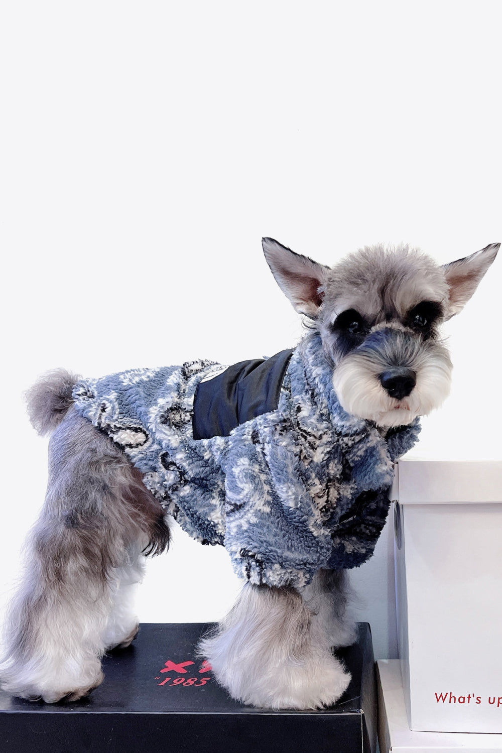 Paisley Zip-Up Teddy Pet Jacket