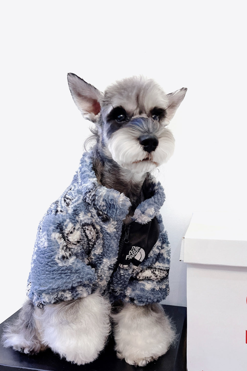 Paisley Zip-Up Teddy Pet Jacket