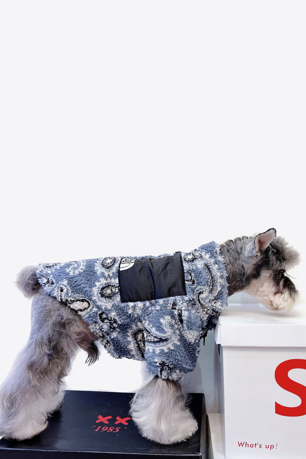 Paisley Zip-Up Teddy Pet Jacket
