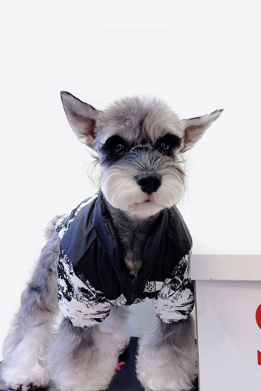 Printed Zip-Up Pet Puffer Jacket