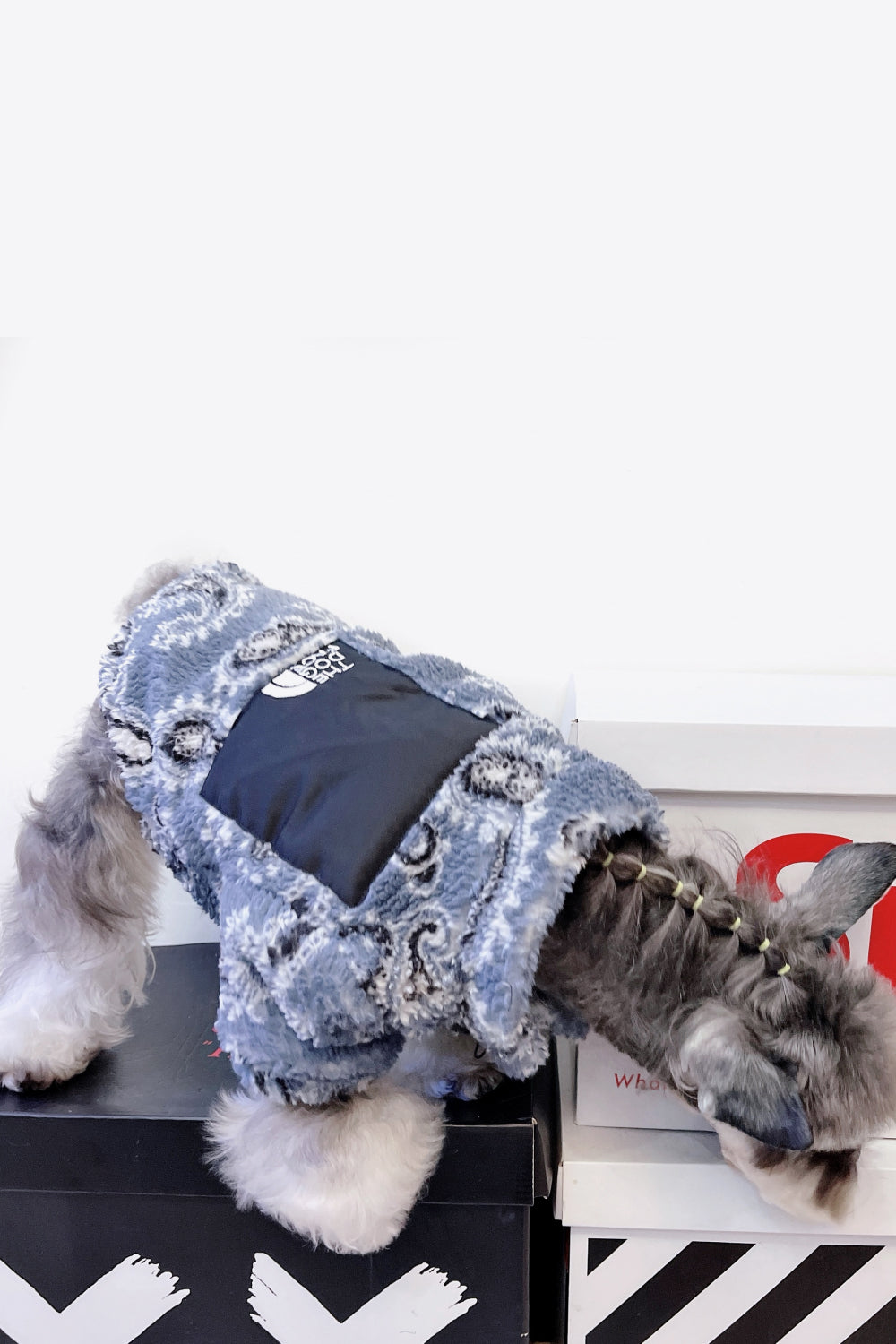 Paisley Zip-Up Teddy Pet Jacket
