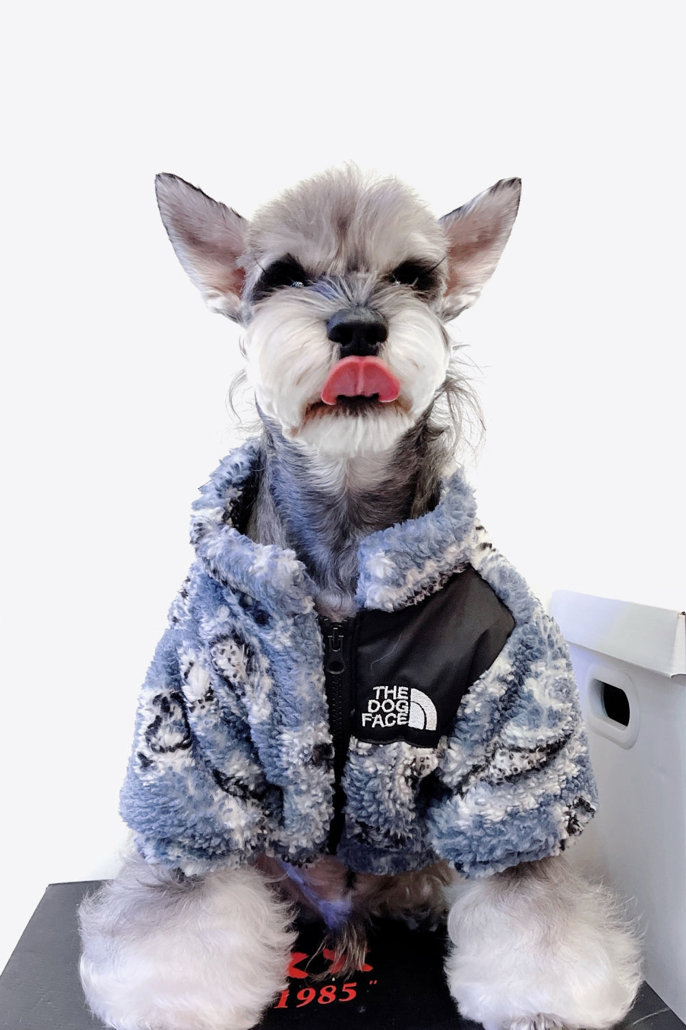 Paisley Zip-Up Teddy Pet Jacket