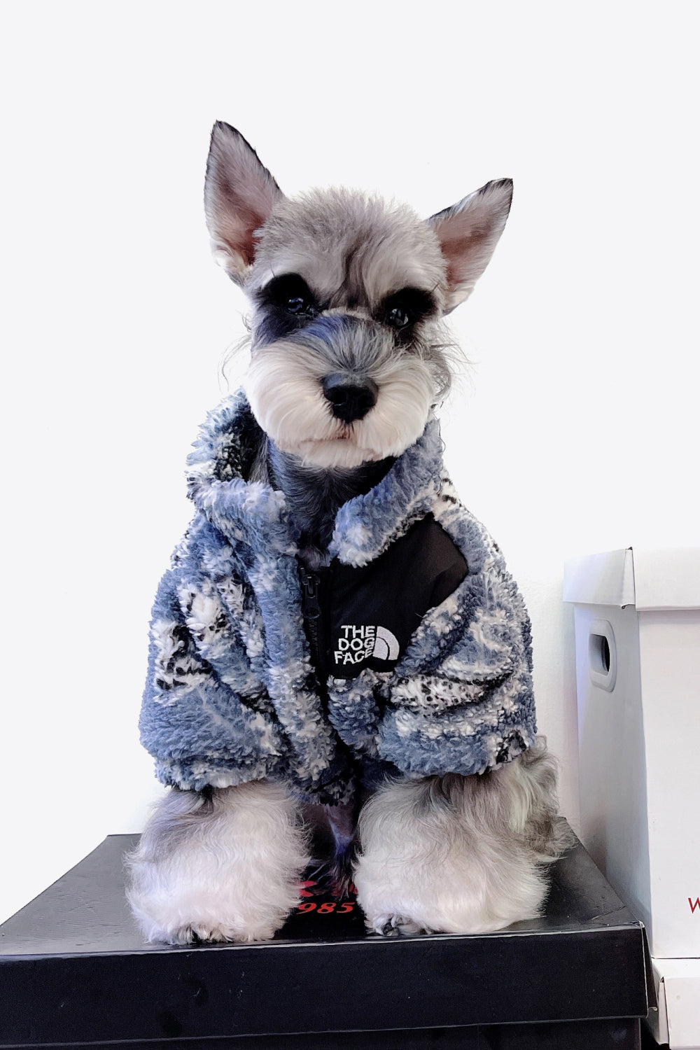 Paisley Zip-Up Teddy Pet Jacket